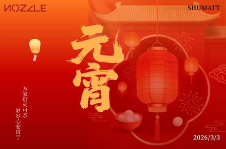 Injector Nozzle DLLA152P2663 Technical Instructions